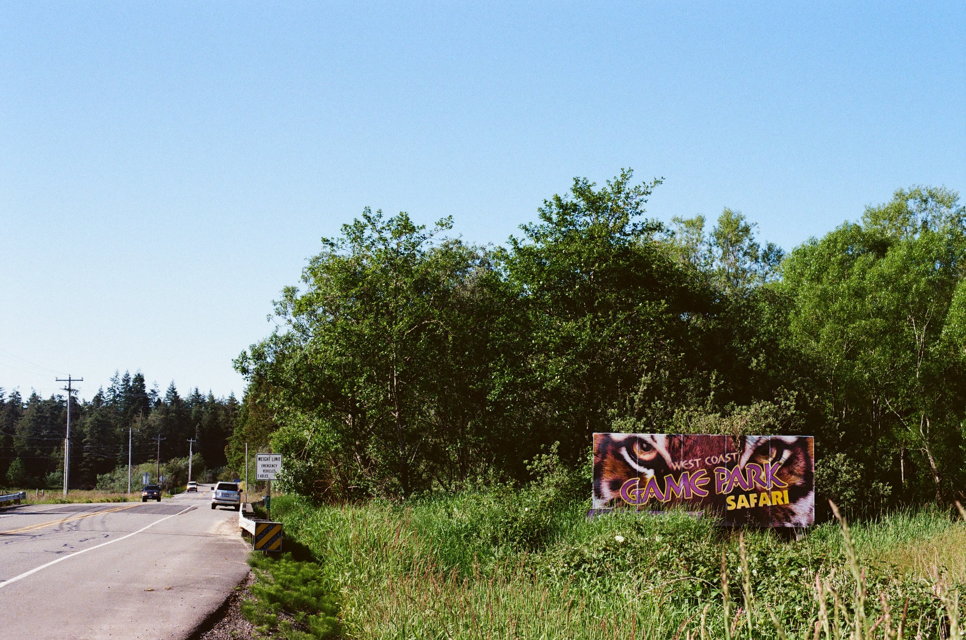 Roadside sign and greenery along a coastal road.
