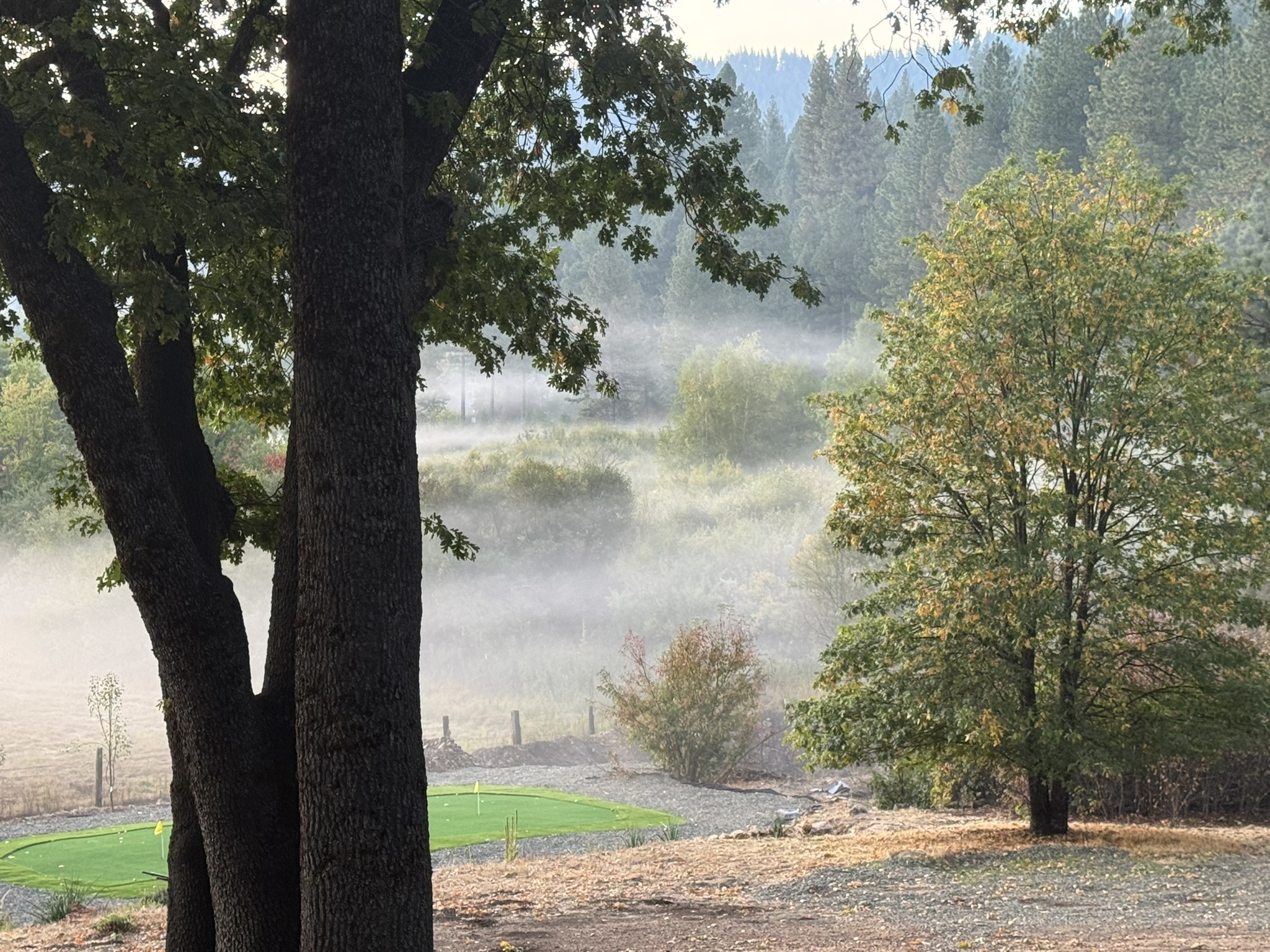 Rainy lakeside view framed by trees and distant hills.